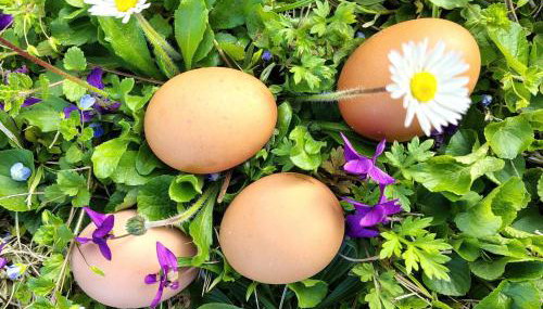 La Casa Gialla - Foto 1