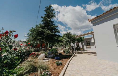 Theofania's Home - Foto 10