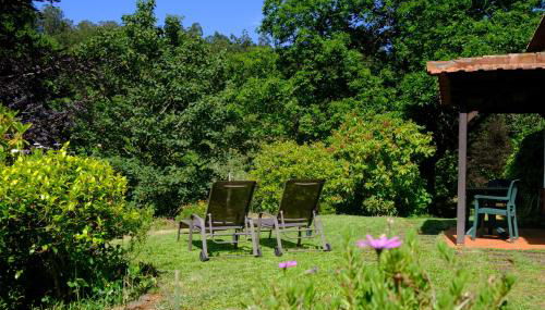 Valle Paraizo - Foto 2, Garden, Garden view