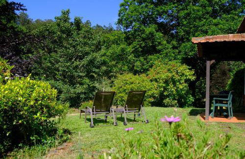 Valle Paraizo - Foto 2