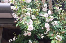 Appartement 105 - Foto 16