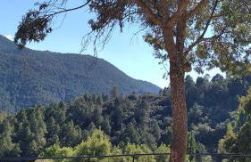 Apartamentos El Callejón - Foto 29