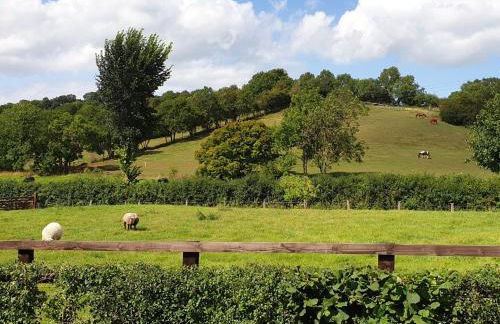 3 Bed in Moorlinch 56284 - Foto 20