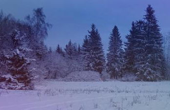 Ferienwohnung Bergluft 2Etage kein Aufzug - Foto 15