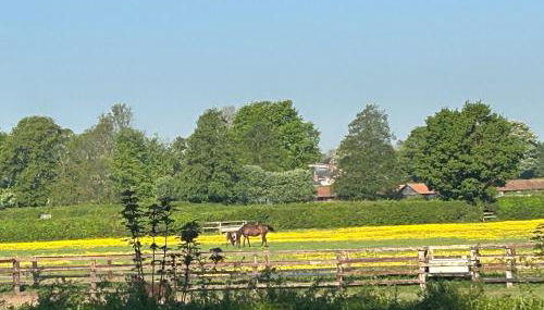 Beautiful shepherd’s hut - Foto 3