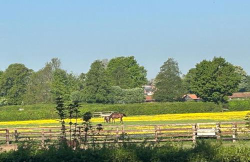 Beautiful shepherd’s hut - Foto 3