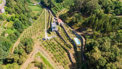 Melgaço Alvarinho Houses - Photo 2