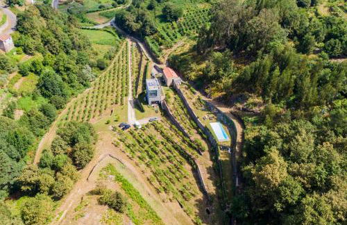 Melgaço Alvarinho Houses - Foto 2