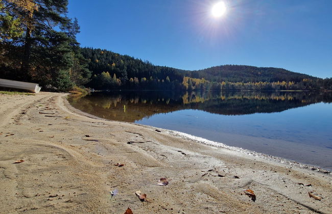 Midtholmen - Foto 33