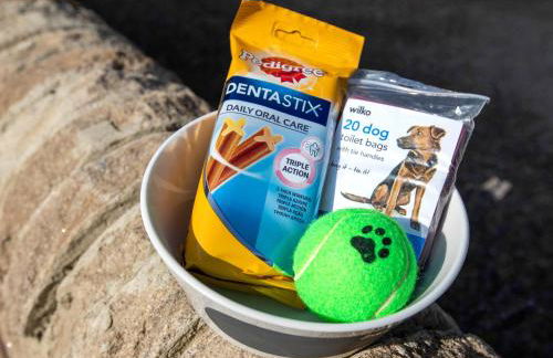 Willow Cottage - Foto 31