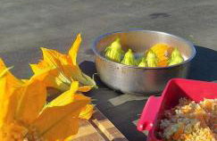 Sunlight Cave Agrilia - Foto 25