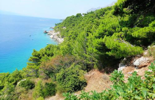 Luxury Apartments Villa Opera - Foto 30