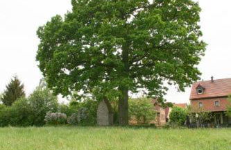 Ferienwohnung Kaim - Foto 16