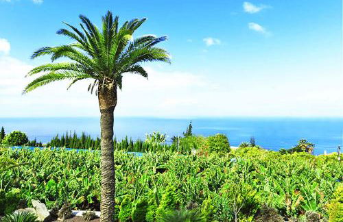 Casa Don Pedro - Foto 7