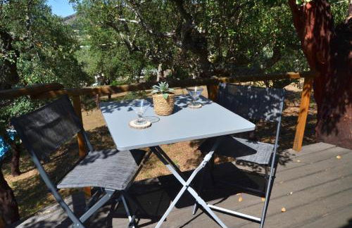 Casa do Pássaro - Foto 13