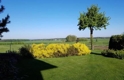 Ferienwohnung "Am Grün" - Photo 10