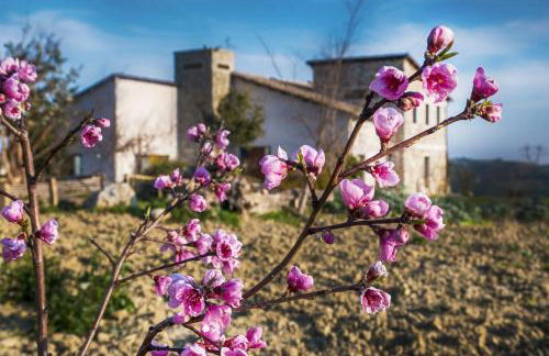 Agriturismo Cignale della Società Agricola Cignale srl - Foto 68