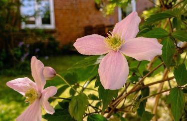 Zeitweise - Photo 25