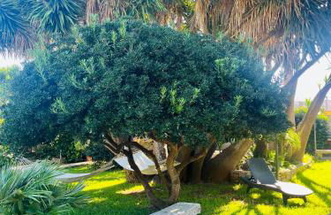 TERRA DI MARE LOC. TURISTICA - Foto 12