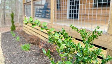 Turkey Trot - Foto 3