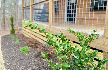 Turkey Trot - Foto 3