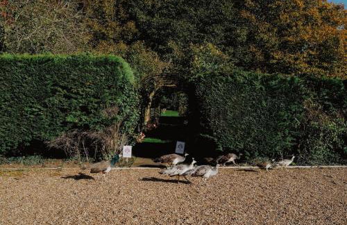 Mind The Gap - Foto 32