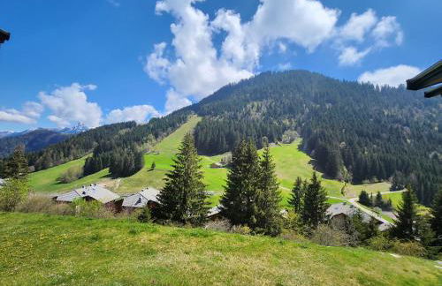 2-bed appt 20 mins from Morzine Portes du Soleil French Alps - Foto 38