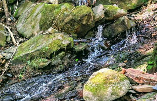 Lakewood Lodge - Foto 47