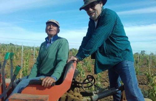 Agriturismo da Remo - Foto 26