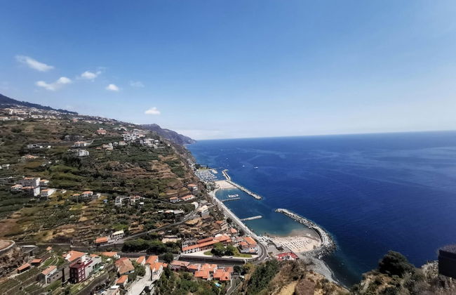 Casas Maravilha - Rvore by Homie - Foto 36