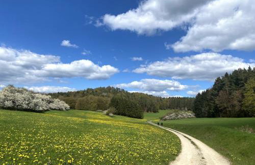 Ferienwohnung auf dem Land, Haus Hans Stepha - Foto 21