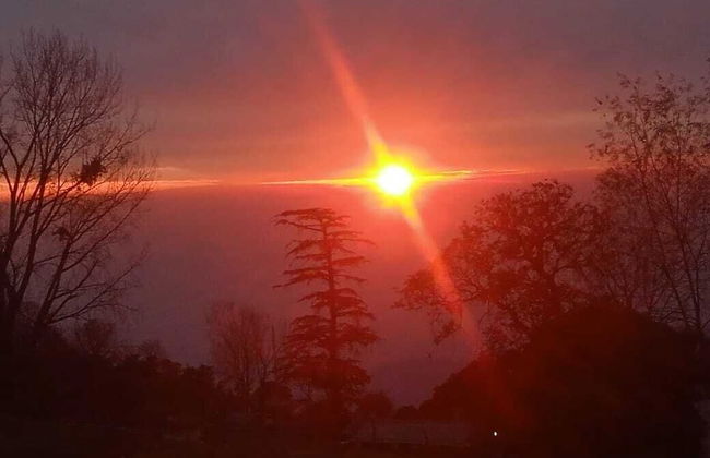 Leela Heritage Villa - Foto 23