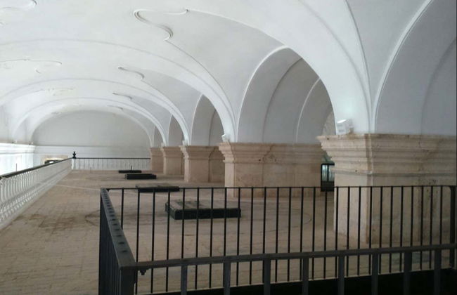 Visita guidata del Museo dell'Ulivo + Degustazione - Foto 10