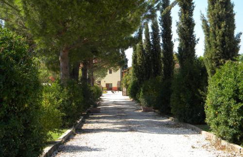 Country House Le Case Coloniche - Foto 43