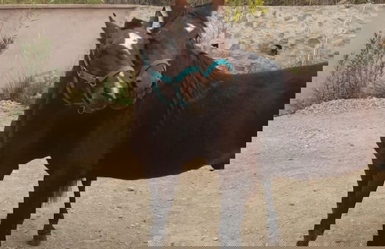 La Fattoria Ecolodge - Foto 35