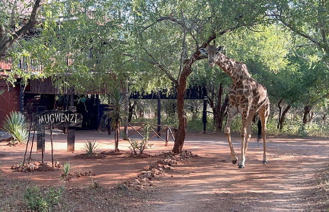 Kruger Kumba - Mugwenzi - Photo 52