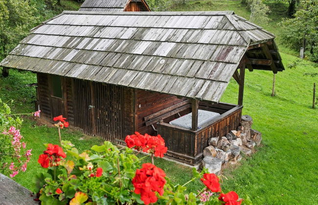 Chalet in Arriach Near Gerlitzen Ski Area - Foto 30