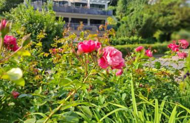 Auszeit Wunschblick - Foto 63