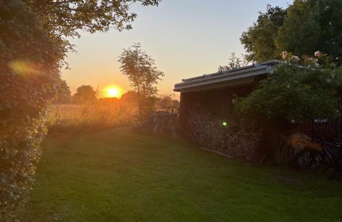 Hühnerstall Lüttenhof - Foto 22