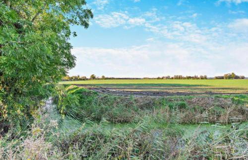 Charming Cottage in Romney Marsh Britain with Wooden Deck - Photo 21