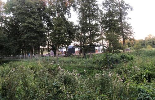 Morski Las - Foto 35