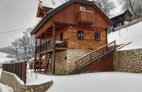 Vila Trnoružica - Foto 51