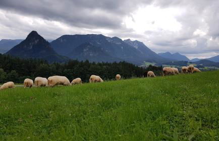 Ferienwohnung Hinterpommern - Chiemgaukarte - Foto 12
