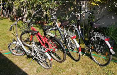 Ferienhaus Wilhelm Spreewald - Foto 19