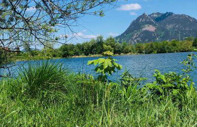 BerglerNest - Apartment mit Bergblick! - Foto 35