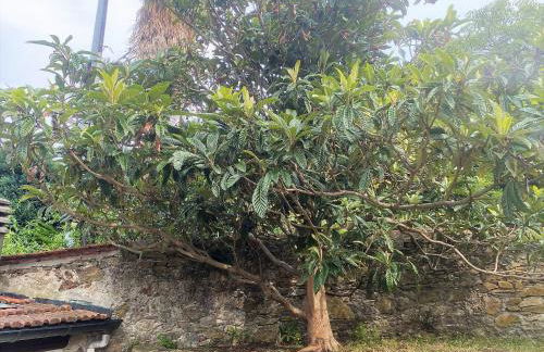 Casa Calma - Foto 16