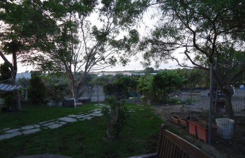 Alexandra Homestay - Foto 68