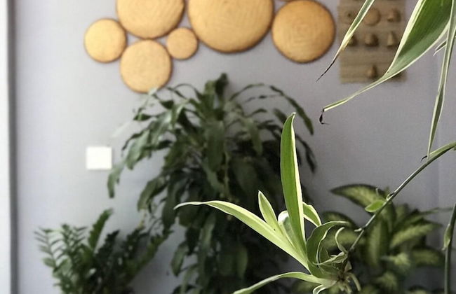 Cosy House Da Nang - Foto 29