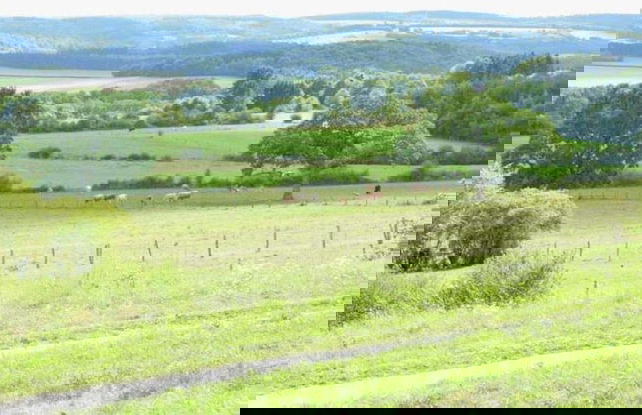 La Roche Cozy Forest Escape - Photo 30