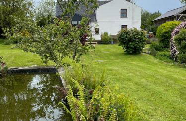 Cosy Cottage in Wild Countryside by Llys-y-Fran - Foto 24